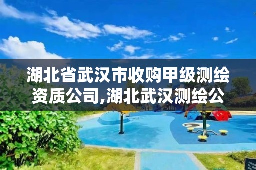 湖北省武漢市收購甲級測繪資質公司,湖北武漢測繪公司排行榜