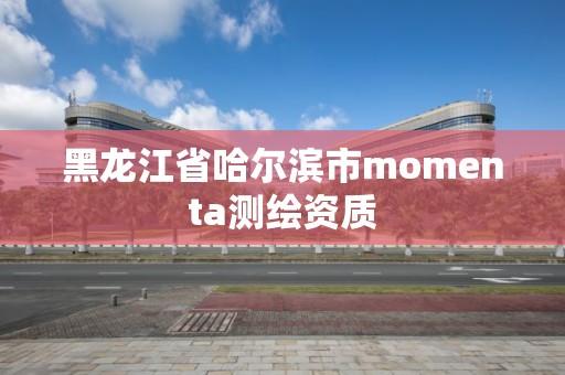 黑龍江省哈爾濱市momenta測繪資質(zhì)