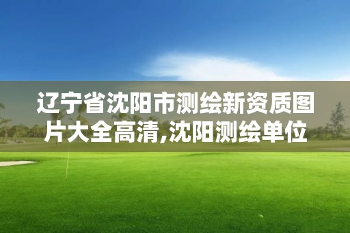 遼寧省沈陽市測繪新資質圖片大全高清,沈陽測繪單位排名