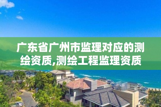 廣東省廣州市監理對應的測繪資質,測繪工程監理資質