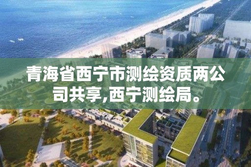 青海省西寧市測繪資質兩公司共享,西寧測繪局。