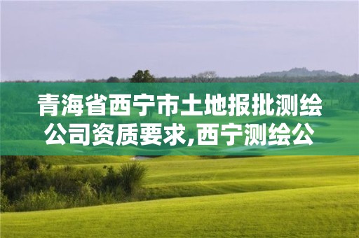 青海省西寧市土地報批測繪公司資質要求,西寧測繪公司有哪些。