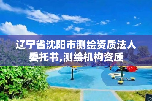 遼寧省沈陽市測繪資質法人委托書,測繪機構資質