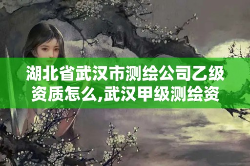 湖北省武漢市測繪公司乙級資質怎么,武漢甲級測繪資質名錄。