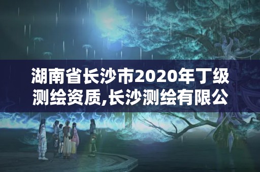 湖南省長(zhǎng)沙市2020年丁級(jí)測(cè)繪資質(zhì),長(zhǎng)沙測(cè)繪有限公司怎么樣