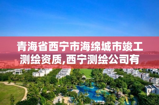 青海省西寧市海綿城市竣工測繪資質,西寧測繪公司有哪些