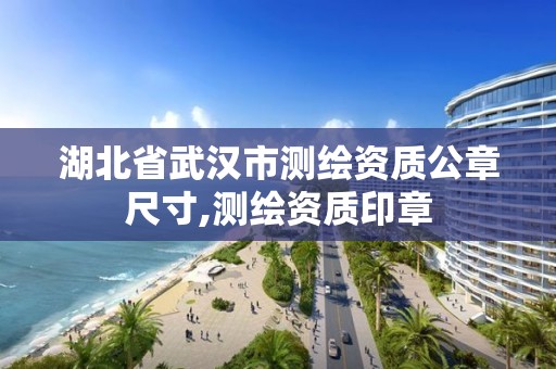 湖北省武漢市測繪資質公章尺寸,測繪資質印章