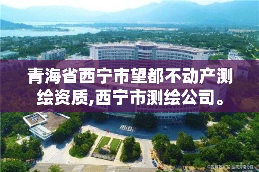 青海省西寧市望都不動產測繪資質,西寧市測繪公司。