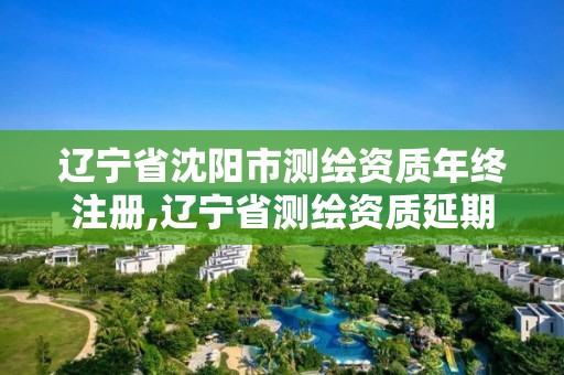 遼寧省沈陽市測繪資質年終注冊,遼寧省測繪資質延期