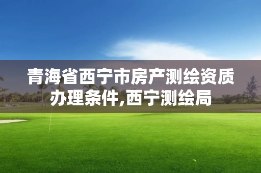 青海省西寧市房產測繪資質辦理條件,西寧測繪局