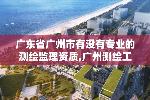 廣東省廣州市有沒有專業(yè)的測繪監(jiān)理資質,廣州測繪工程公司。