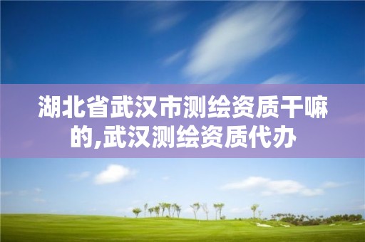 湖北省武漢市測繪資質(zhì)干嘛的,武漢測繪資質(zhì)代辦