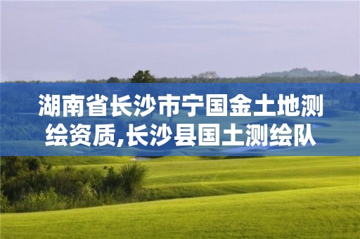 湖南省長沙市寧國金土地測繪資質,長沙縣國土測繪隊