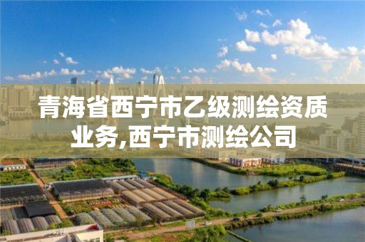 青海省西寧市乙級測繪資質業務,西寧市測繪公司