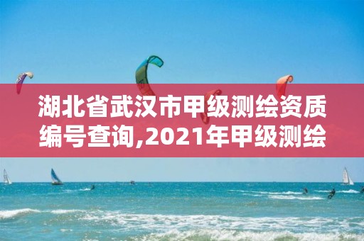 湖北省武漢市甲級(jí)測(cè)繪資質(zhì)編號(hào)查詢,2021年甲級(jí)測(cè)繪資質(zhì)