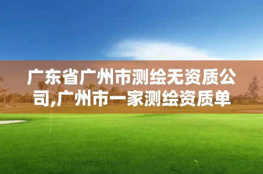 廣東省廣州市測繪無資質公司,廣州市一家測繪資質單位