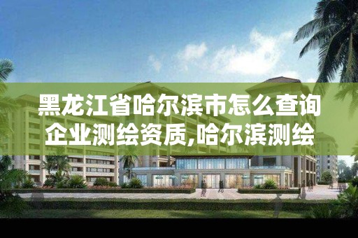 黑龍江省哈爾濱市怎么查詢企業測繪資質,哈爾濱測繪局是干什么的