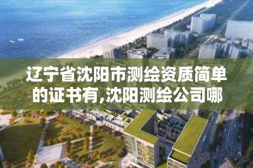 遼寧省沈陽市測繪資質簡單的證書有,沈陽測繪公司哪家強哪家好