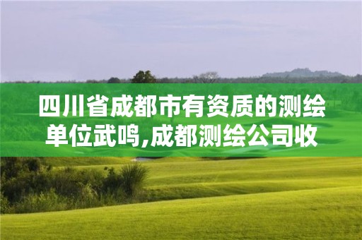 四川省成都市有資質的測繪單位武鳴,成都測繪公司收費標準。