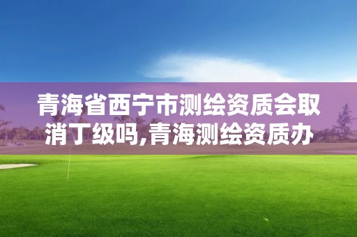 青海省西寧市測繪資質會取消丁級嗎,青海測繪資質辦理