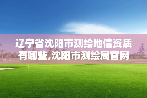 遼寧省沈陽市測繪地信資質有哪些,沈陽市測繪局官網