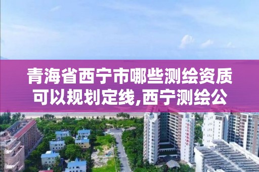 青海省西寧市哪些測繪資質可以規劃定線,西寧測繪公司有哪些。