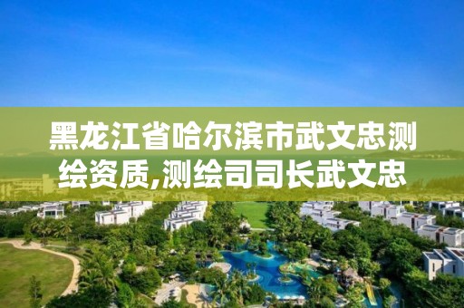 黑龍江省哈爾濱市武文忠測繪資質,測繪司司長武文忠簡歷