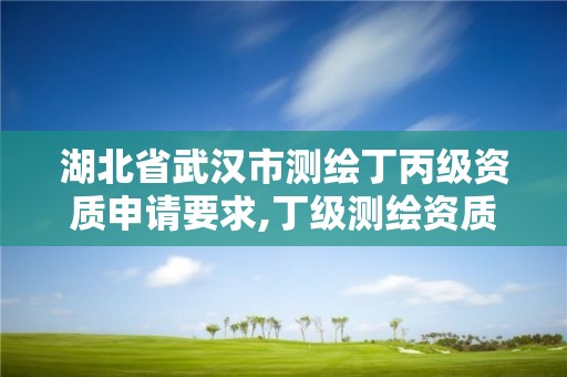 湖北省武漢市測繪丁丙級資質申請要求,丁級測繪資質業務范圍