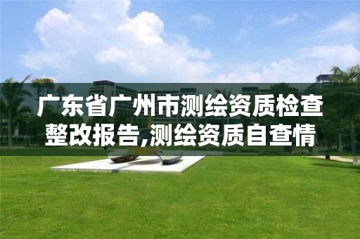 廣東省廣州市測繪資質檢查整改報告,測繪資質自查情況表如何填寫。