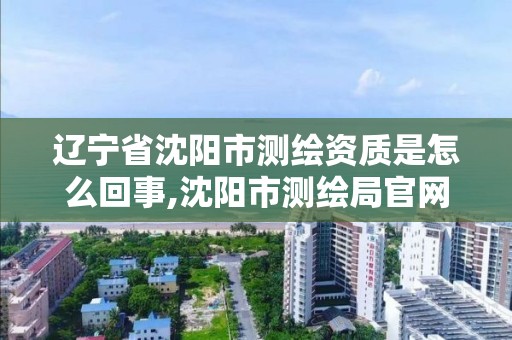 遼寧省沈陽市測繪資質(zhì)是怎么回事,沈陽市測繪局官網(wǎng)