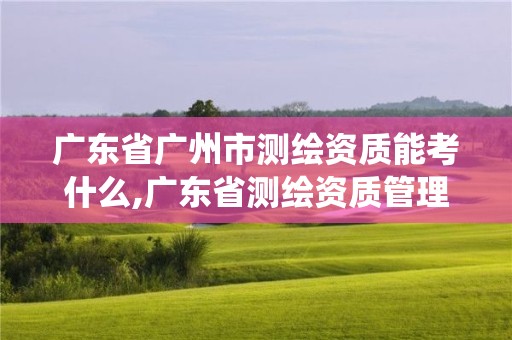 廣東省廣州市測繪資質能考什么,廣東省測繪資質管理系統