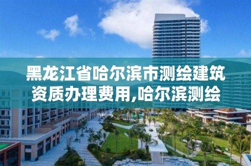 黑龍江省哈爾濱市測繪建筑資質辦理費用,哈爾濱測繪局是干什么的