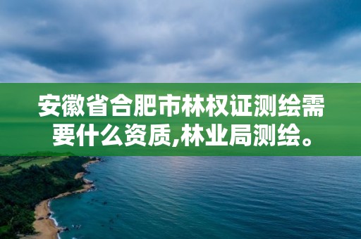 安徽省合肥市林權證測繪需要什么資質,林業局測繪。