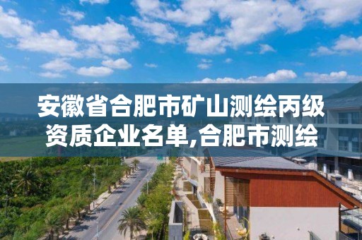 安徽省合肥市礦山測繪丙級資質企業名單,合肥市測繪設計。