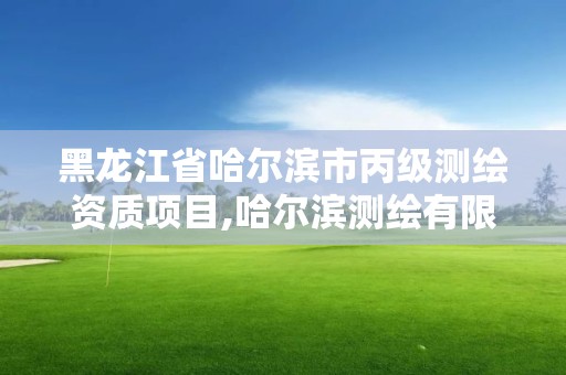 黑龍江省哈爾濱市丙級測繪資質項目,哈爾濱測繪有限公司