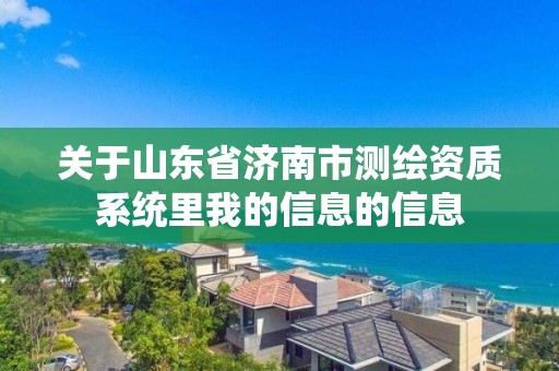 關于山東省濟南市測繪資質系統里我的信息的信息