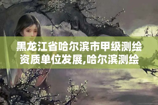 黑龍江省哈爾濱市甲級測繪資質(zhì)單位發(fā)展,哈爾濱測繪有限公司