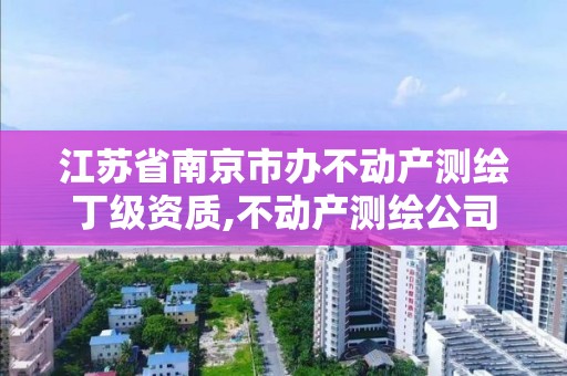 江蘇省南京市辦不動產測繪丁級資質,不動產測繪公司條件。