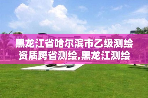 黑龍江省哈爾濱市乙級測繪資質跨省測繪,黑龍江測繪公司乙級資質