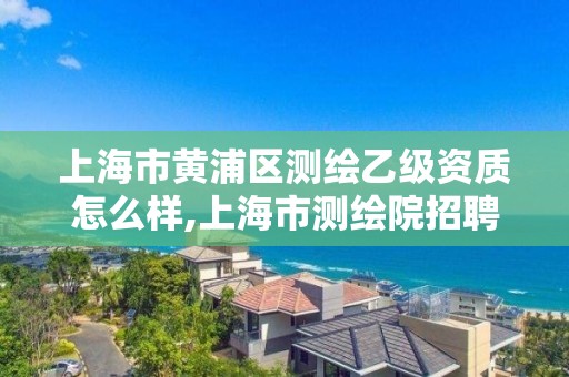 上海市黃浦區測繪乙級資質怎么樣,上海市測繪院招聘公告。