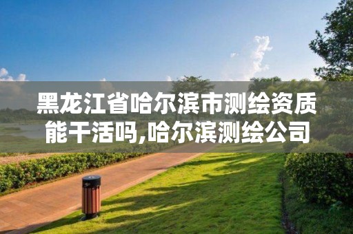 黑龍江省哈爾濱市測繪資質(zhì)能干活嗎,哈爾濱測繪公司招聘