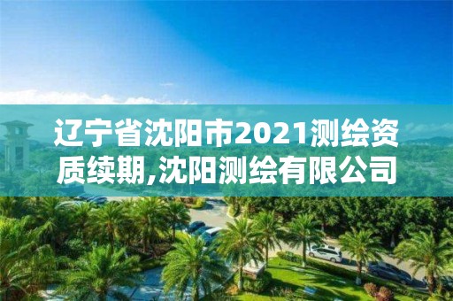 遼寧省沈陽市2021測繪資質續期,沈陽測繪有限公司