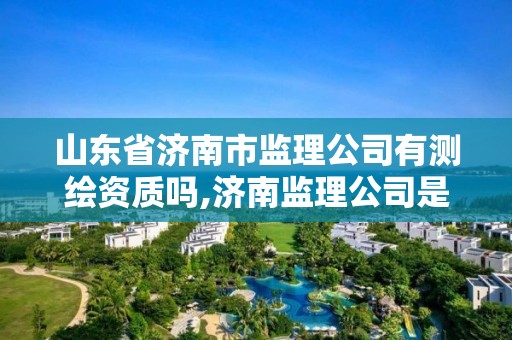 山東省濟南市監理公司有測繪資質嗎,濟南監理公司是國企嗎