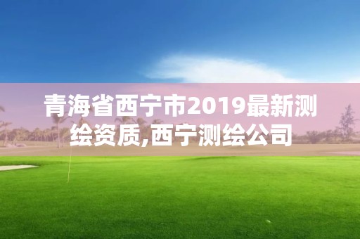 青海省西寧市2019最新測(cè)繪資質(zhì),西寧測(cè)繪公司