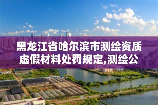 黑龍江省哈爾濱市測繪資質虛假材料處罰規定,測繪公司提供虛假測繪報告。