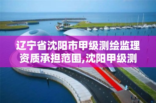 遼寧省沈陽市甲級測繪監理資質承擔范圍,沈陽甲級測繪公司