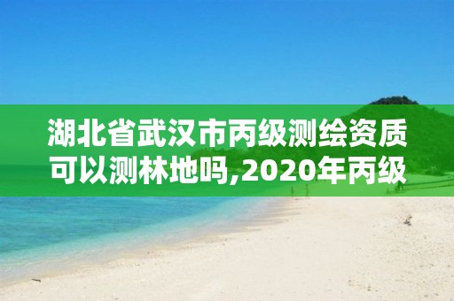 湖北省武漢市丙級測繪資質可以測林地嗎,2020年丙級測繪資質會取消嗎。