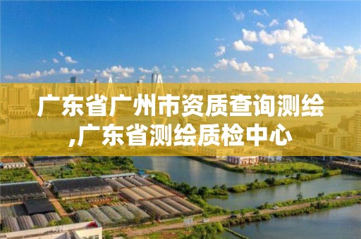 廣東省廣州市資質(zhì)查詢測繪,廣東省測繪質(zhì)檢中心