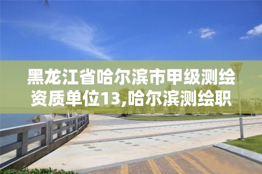 黑龍江省哈爾濱市甲級測繪資質單位13,哈爾濱測繪職工中等專業學校