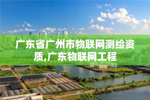 廣東省廣州市物聯網測繪資質,廣東物聯網工程